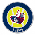 Add a Touch of Tennis Style to Your Space